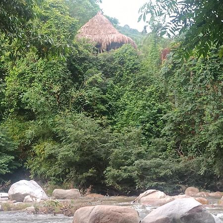 Sierra Tayrona Hostel 埃尔扎伊诺 外观 照片