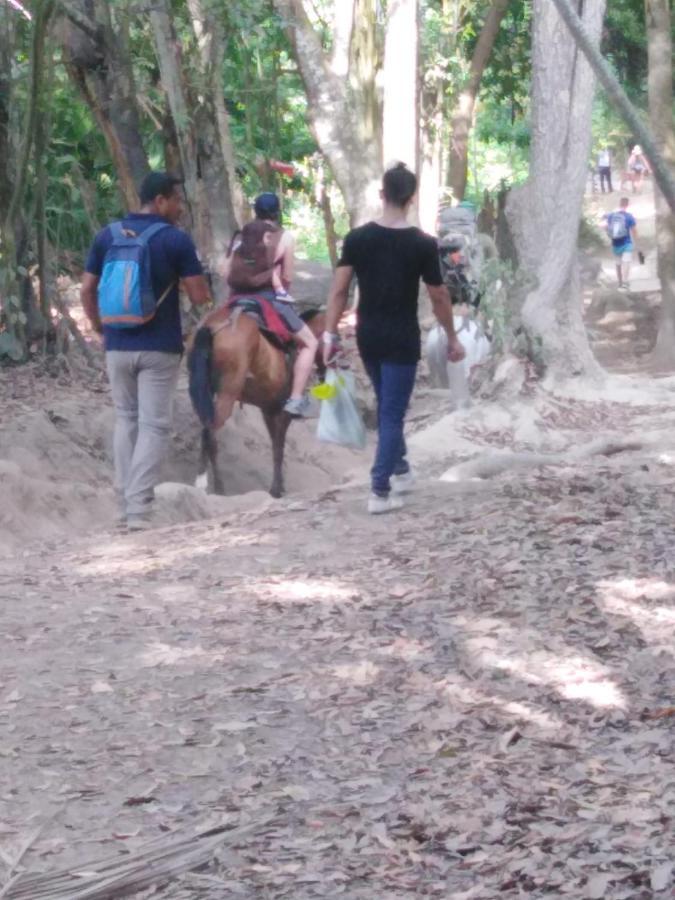 Sierra Tayrona Hostel 埃尔扎伊诺 外观 照片