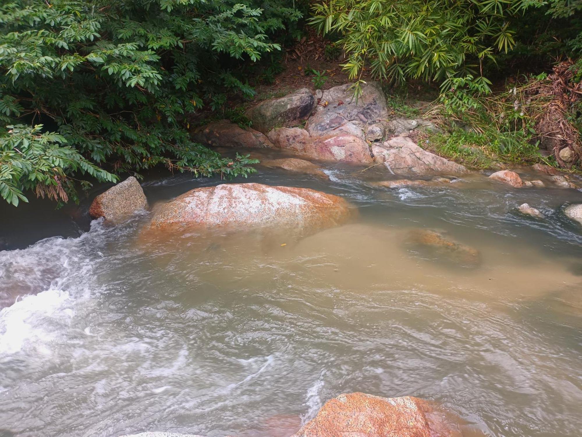 Sierra Tayrona Hostel 埃尔扎伊诺 外观 照片