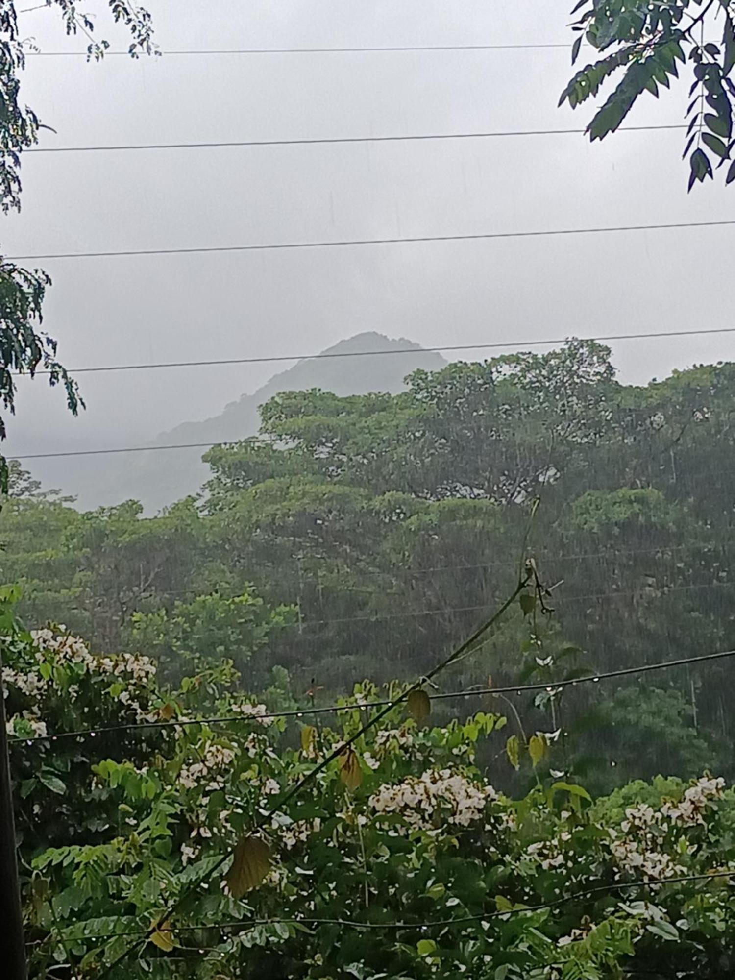 Sierra Tayrona Hostel 埃尔扎伊诺 外观 照片