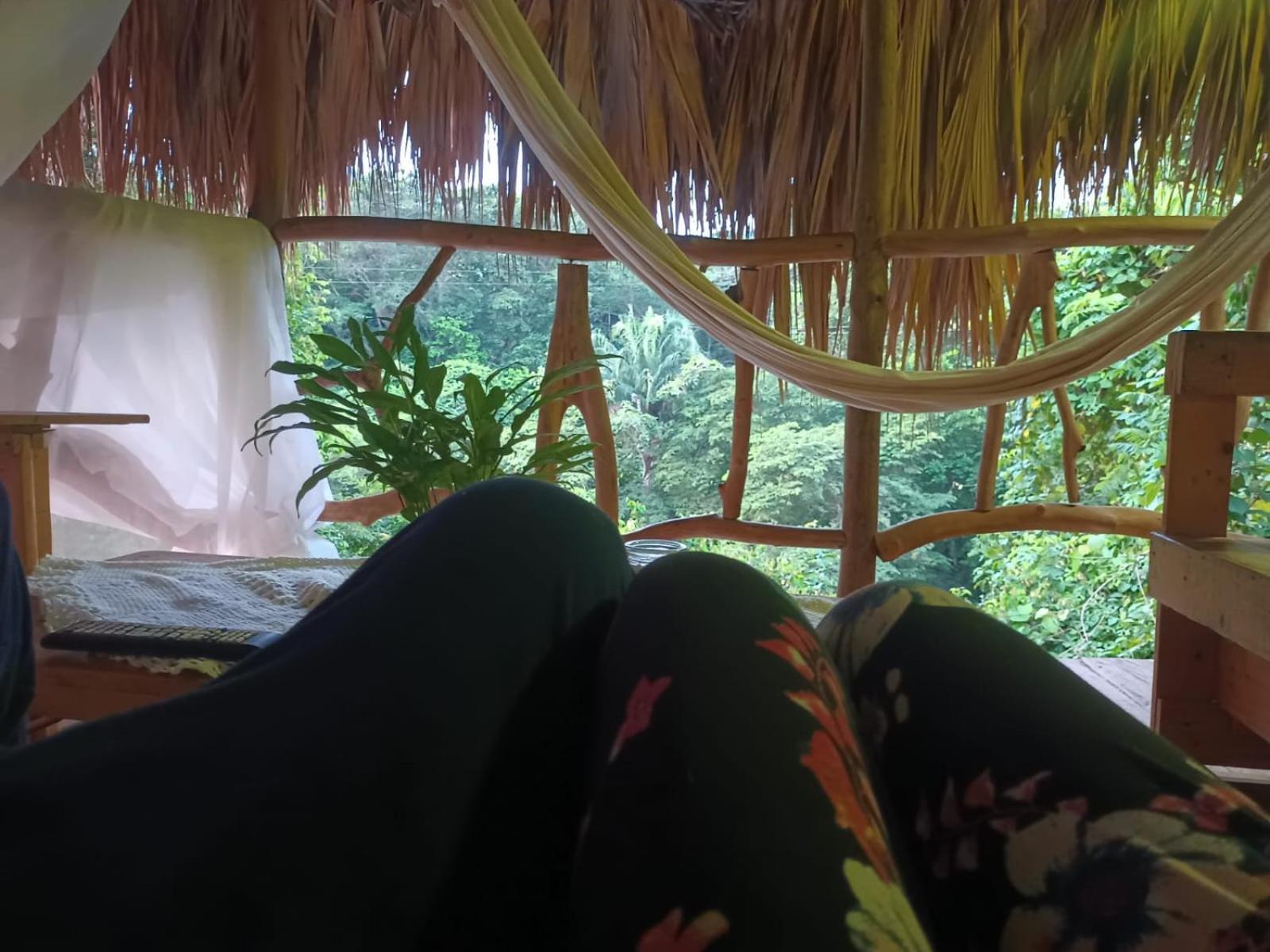 Sierra Tayrona Hostel 埃尔扎伊诺 外观 照片