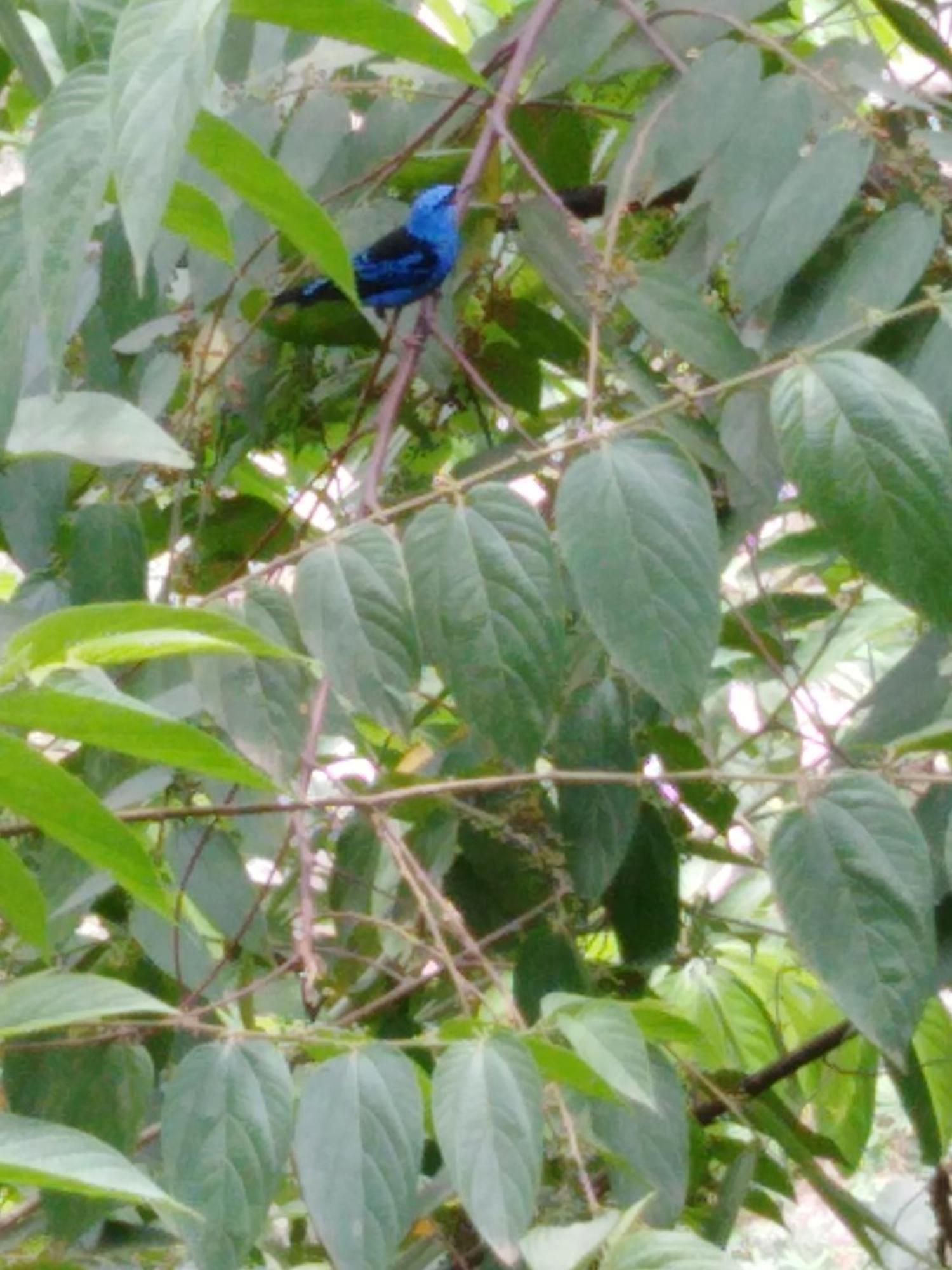 Sierra Tayrona Hostel 埃尔扎伊诺 外观 照片
