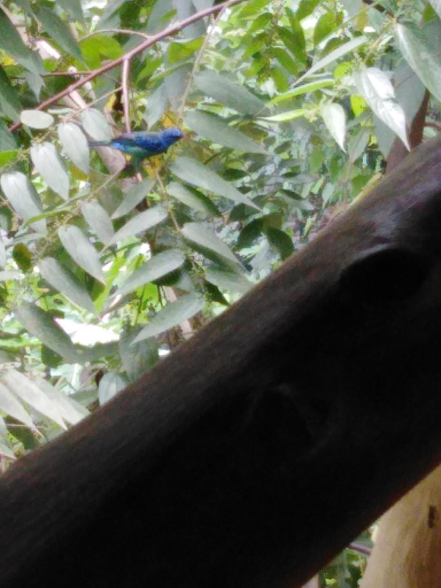 Sierra Tayrona Hostel 埃尔扎伊诺 外观 照片
