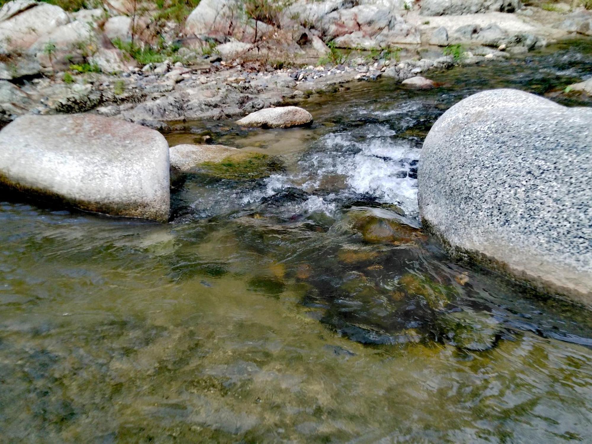 Sierra Tayrona Hostel 埃尔扎伊诺 外观 照片