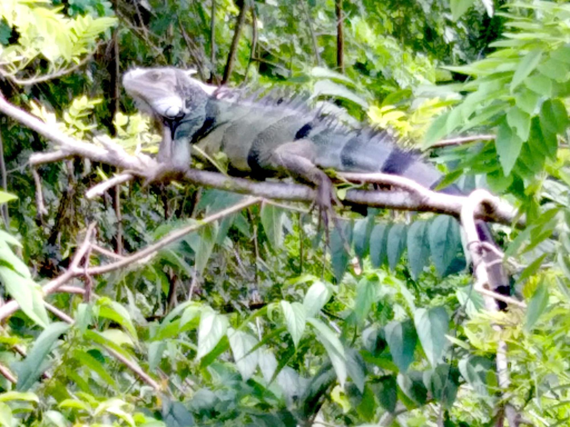 Sierra Tayrona Hostel 埃尔扎伊诺 外观 照片