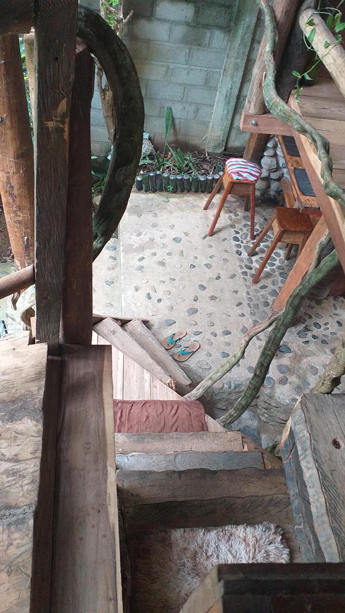 Sierra Tayrona Hostel 埃尔扎伊诺 外观 照片