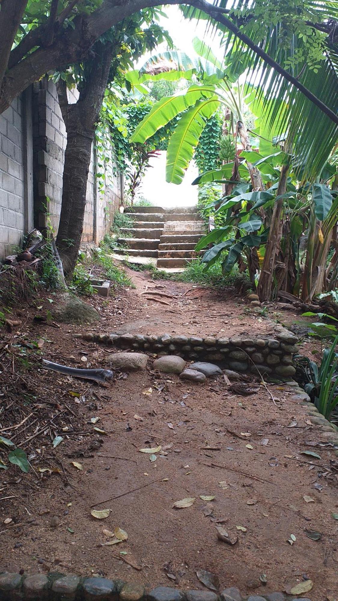 Sierra Tayrona Hostel 埃尔扎伊诺 外观 照片