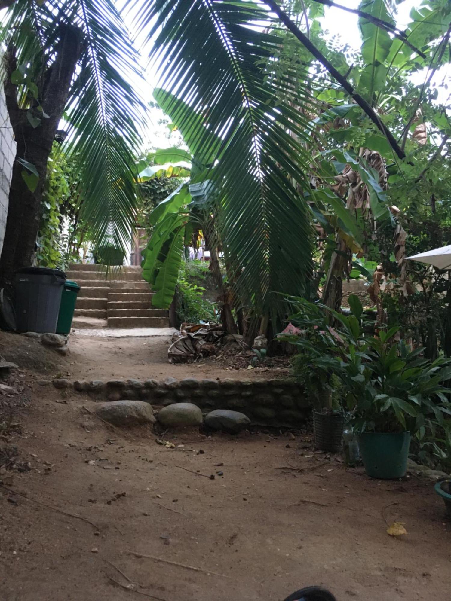 Sierra Tayrona Hostel 埃尔扎伊诺 外观 照片